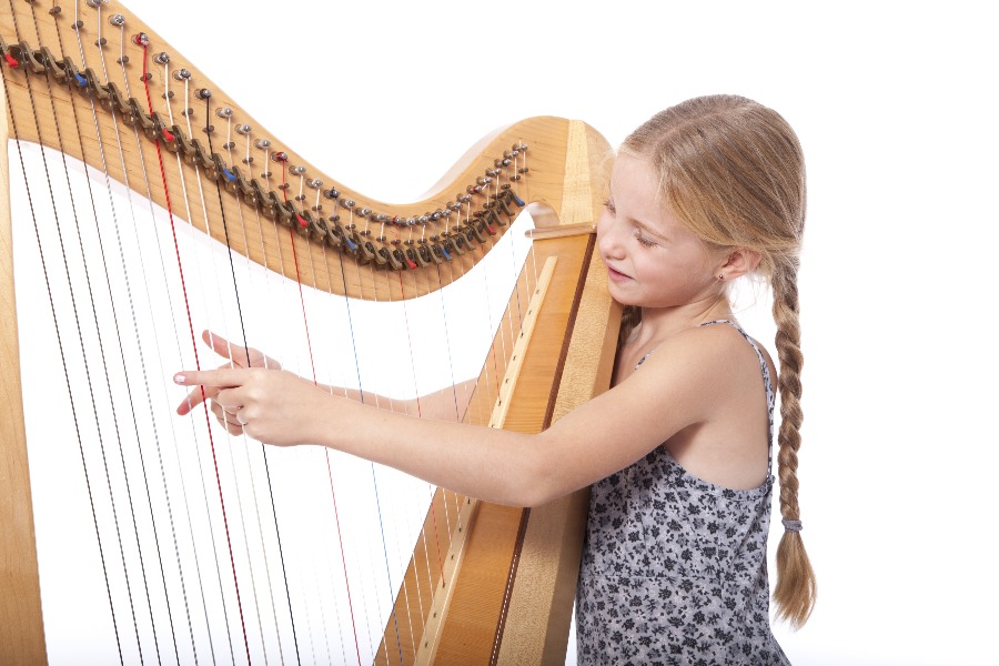 harpe toulouse